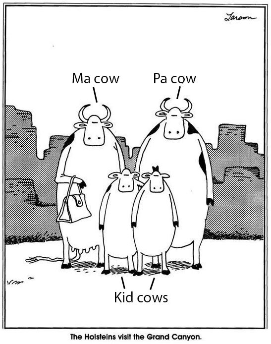 cows_PS.jpg
