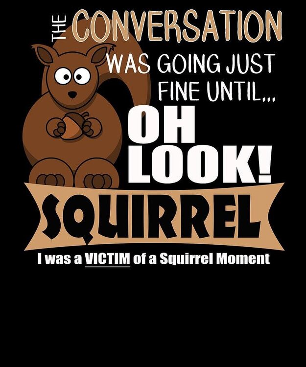 the-adhd-squirrel-oh-look-squirrel.jpg