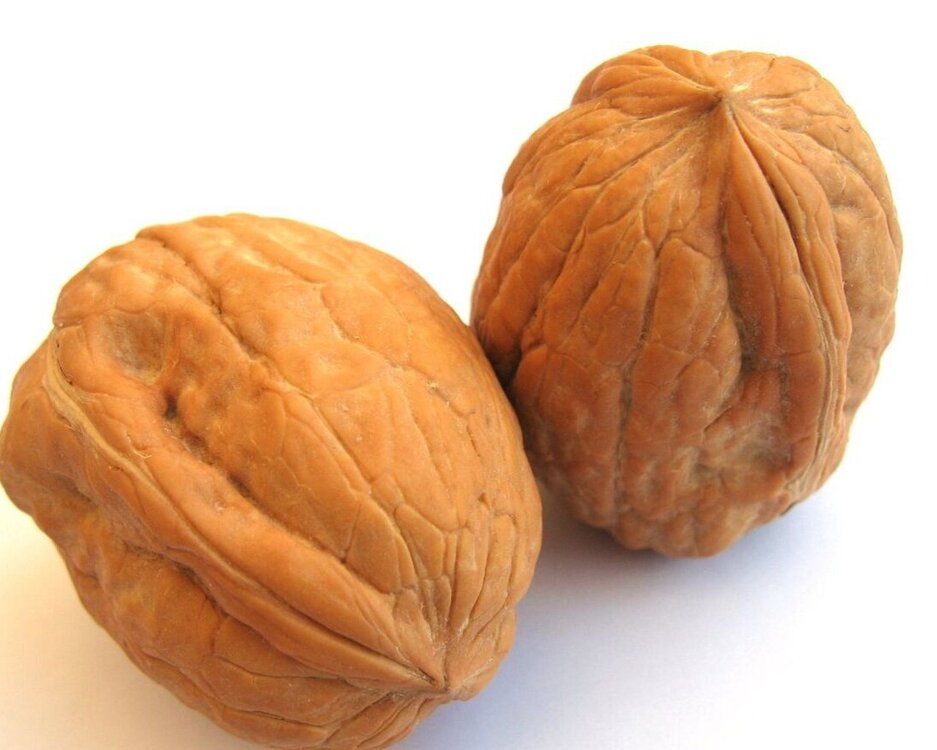 walnut-+superfood.jpg