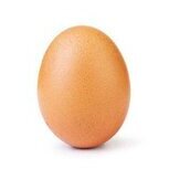 Eggster