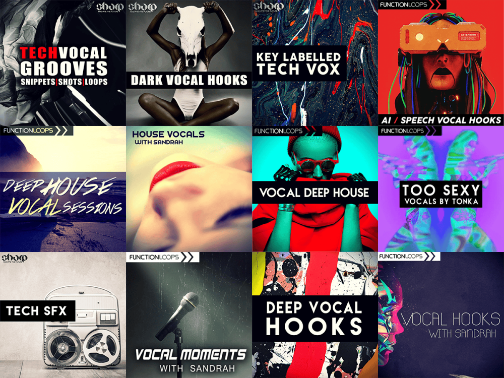 house-techno-fx-vox.thumb.png.71753e3b288779955f61d0c0a753885e.png