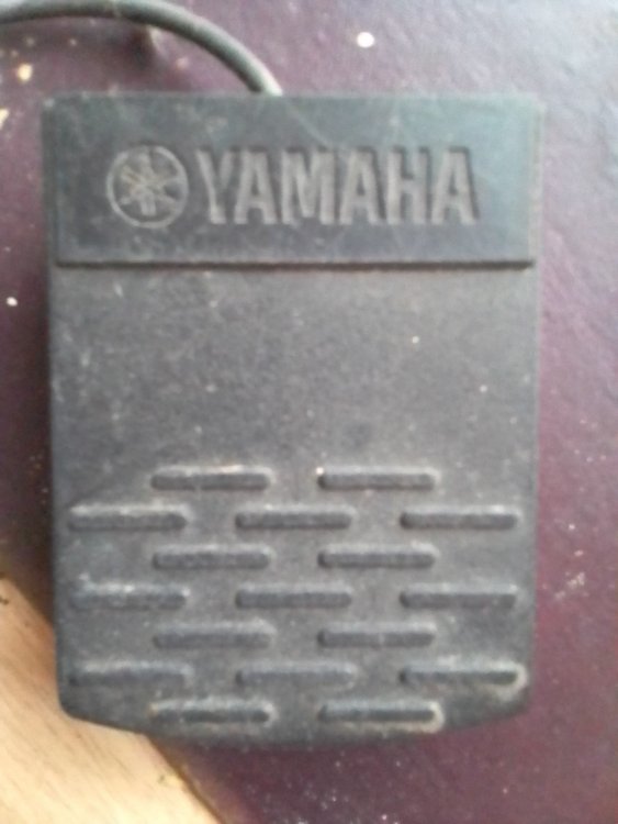 Yamaha pedal.jpg