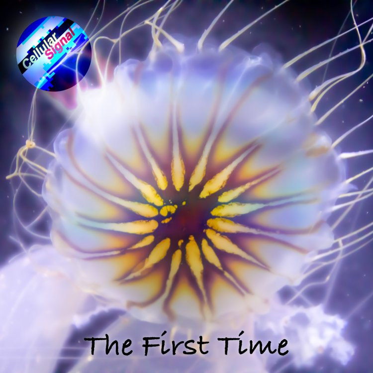 The First Time Artwork.jpg