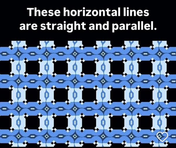 481272090_10171027623525357_3980150902900371753_n.jpg.1e81ee0337bc8eade805dc823e5c1bf4.jpg