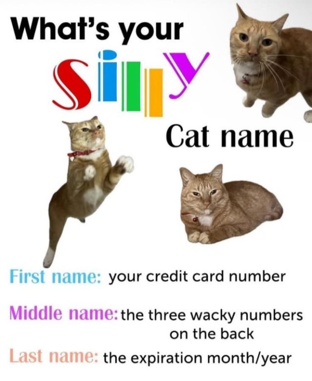 whats-your-silly-cat-name-v0-gois7ub7dd6f1.thumb.jpeg.c230a881ccc14b09e57c355648ce6c5f.jpeg