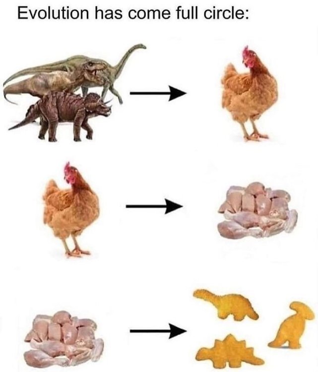 _Evolution.jpg