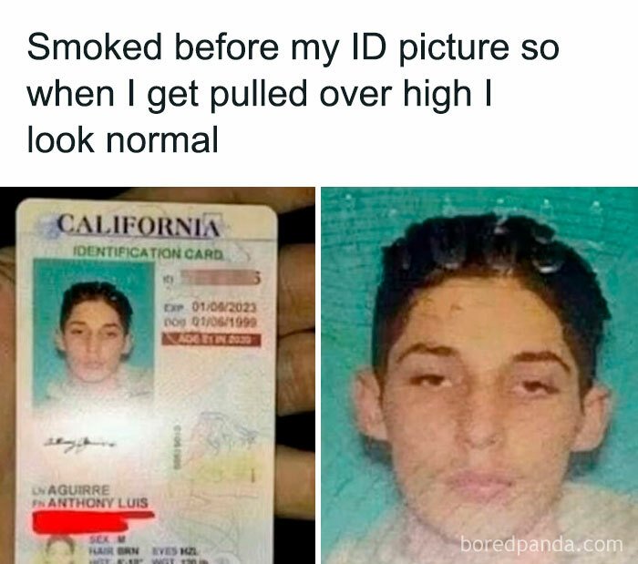 funny-random-memes-satisfydaily-43-672a256e48115__700.jpg.27b2a22a11b5ae901068146ea687ca5b.jpg