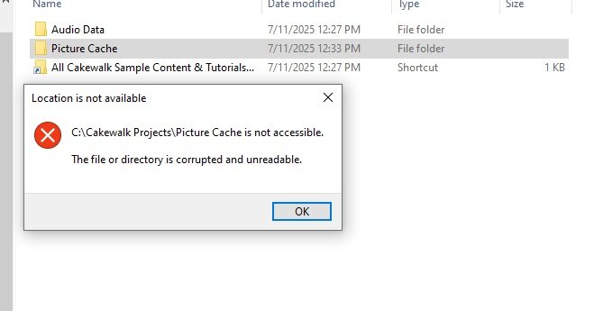 piccache1.jpg.50ac39ba33c55c7aca8f9f06aebd00e9.jpg