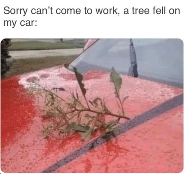 sorry-cant-come-work-tree-fell-on-my-car.png.09eee6a75217f7434fceadad8d80aa44.png