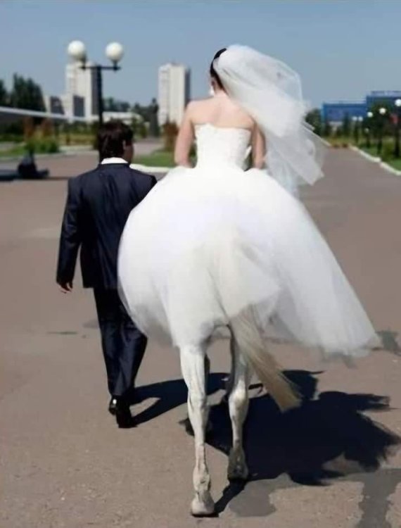 blursed-wife-v0-1v9riphuoohd1.thumb.jpeg.06d3d895ba2932ad1c71422a1bf257bd.jpeg