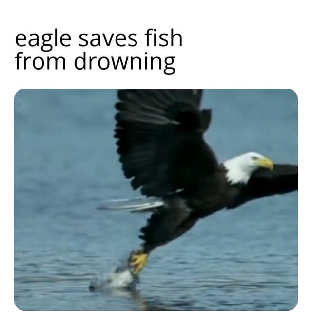 zy3qjqtxwxy41.jpg.2ff0bce138d4c5667d2b0838607c65d6.jpg